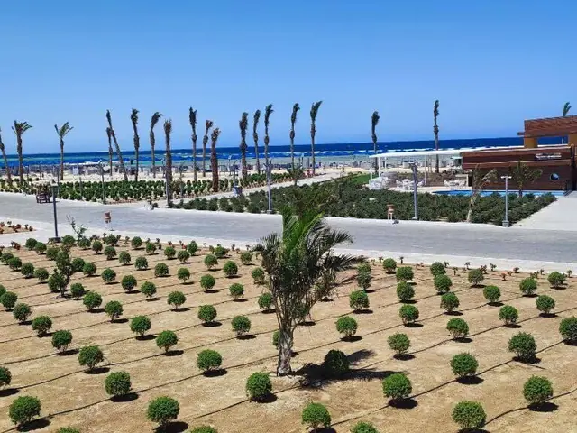 Отель Albatros Makadi Resort