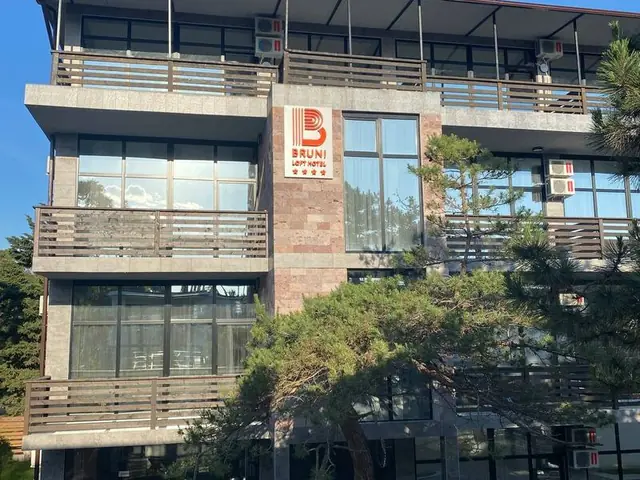 Отель Bruni Loft Hotel
