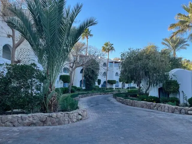 Отель Domina Coral Bay