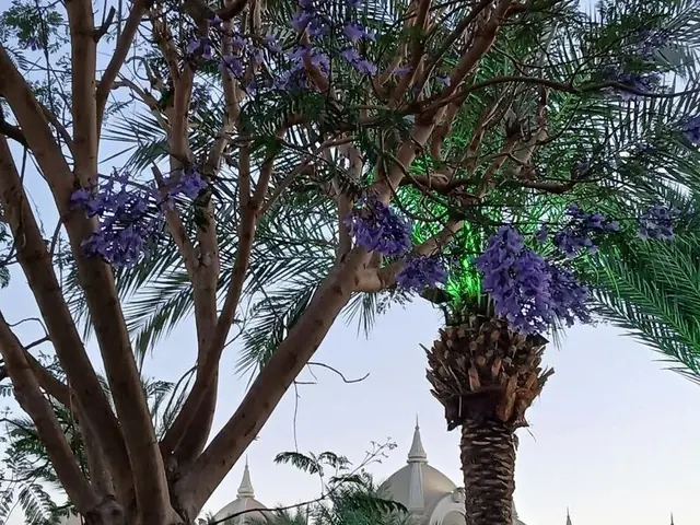 Отель Granada Luxury Belek