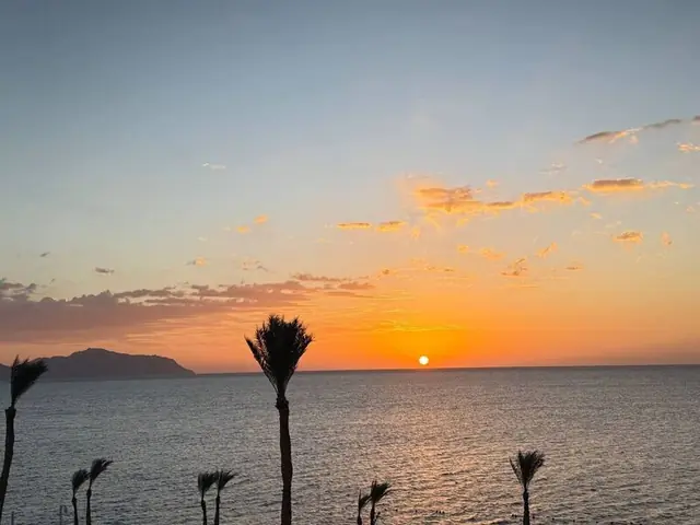 Отель Invidia Coral Beach Tiran