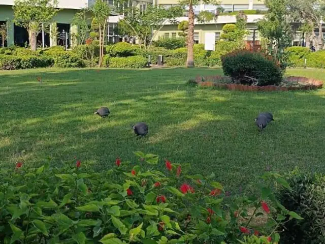 Отель Ma Biche Kemer By Werde Hotels