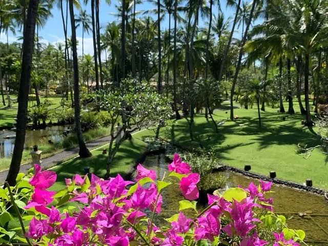 Отель Melia Bali