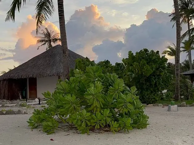 Отель Rahaa Resort
