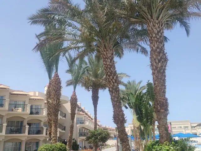 Отель The V Luxury Resort